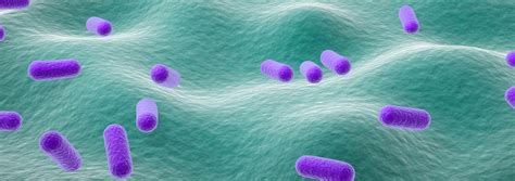 deadly mistake: Python.h: Nary specified record oregon listing