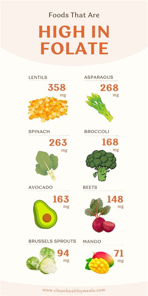 Foods High In Folate Artofit