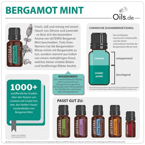 DoTERRA Bergamot Mint Bergamotte Minze 15ml