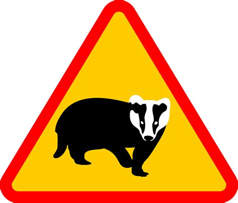 Badger Png Transparent Images
