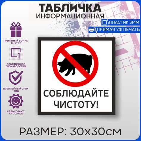 Табличка информационная Соблюдайте чистоту 30х30, 30 см - купить в ...