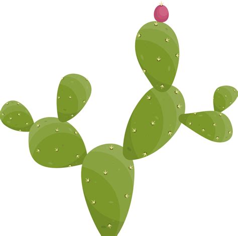 Cartoon Desert Cactus Plant 21612001 Png