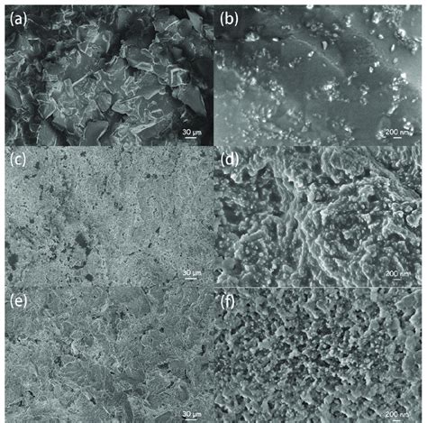 ab sem image  coating  cd sem image  coating  ef sem