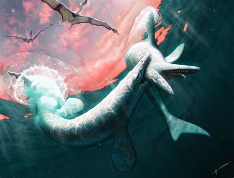 giant sea animals