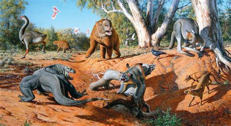 Ancient Australian Megafauna Diprotodon Optatum Content Catnip
