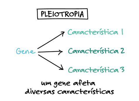 O Que É Pleiotropia - Pleiotropia O Que é - GITEDU