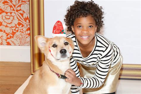 Meet The Rescue Dog Playing Sandy In ‘annie