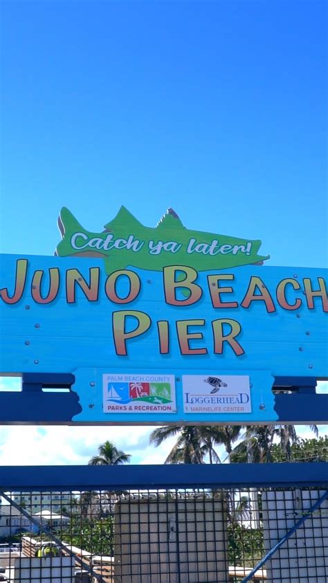 Juno Beach Pier We Are Thrilled To Announce The Winners Of This Year