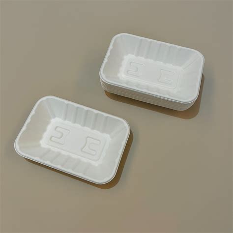 Biodegradable Disposable Tray Sugarcane Bagasse Takeaway Fruit And