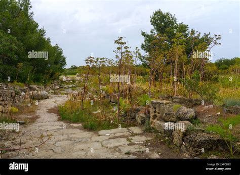 Abandoned Excavations In An Ancient Ruined City Cyprus Bad Attitude