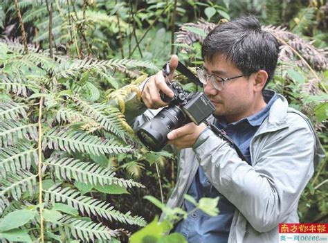 「樹王」紀錄刷新：尋找在西藏的「亞洲第一高樹」 每日頭條