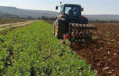 Los ganaderos y agricultores podrán solicitar hasta el 30 de abril las