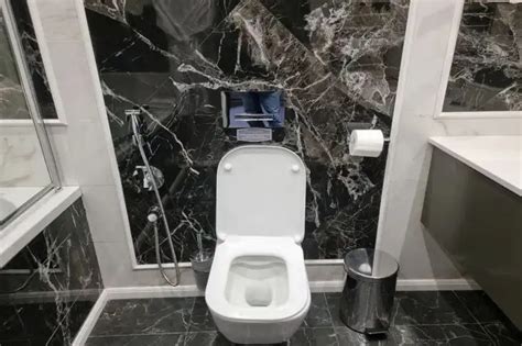 Как не только отмыть унитаз, но и избавиться от неприятного запаха: это ...