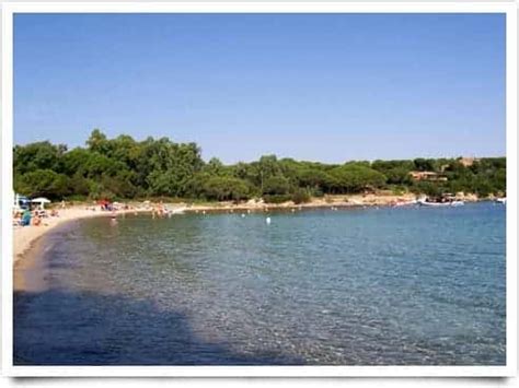 Spiaggia Le Farfalle Cala Suaraccia Capo Coda Cavallo San Teodoro