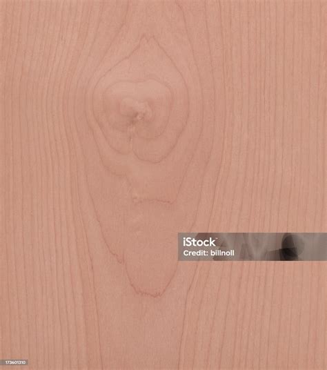 Alder Wood Texture Stock Photo Download Image Now Backgrounds