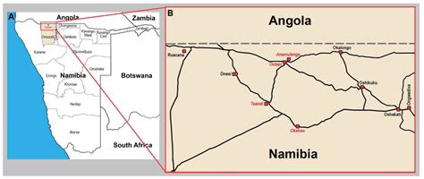 Forests Free Full Text Radiocarbon Investigation Of The Historic