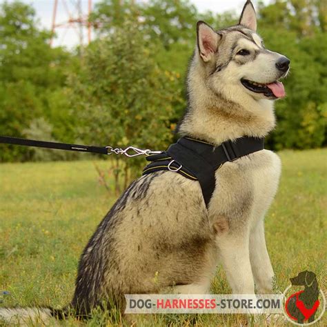 Nylon Alaskan Malamute Harness Multi Purpose Dog Harnesses