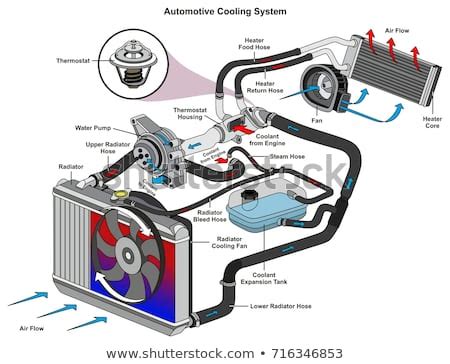 Automotive Thermostat Diagram