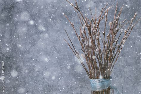 Pussy Willow Willow Branches Bloom Spring Concept Easter Holiday Background Stock Photo