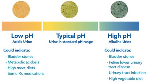 Tidy Cats Tidy Care Alert Color Chart Tidy Litter Odor Chewy