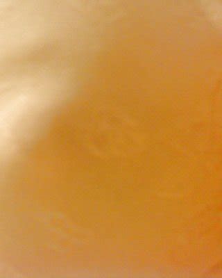 Exposure Templates Porn Pictures Xxx Photos Sex Images Pictoa