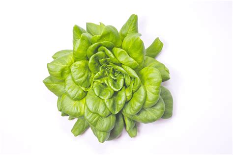 Green Salad Free Photo On Pixabay Pixabay