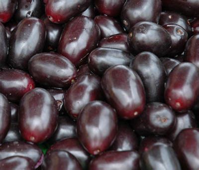 Jambul/ Jamun Seeds