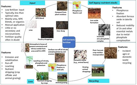 Frontiers | Fertilizers for food and nutrition security in sub-Saharan ...