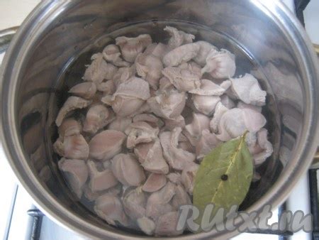 Нежнейшие куриные желудки: 26 фото в рецепте