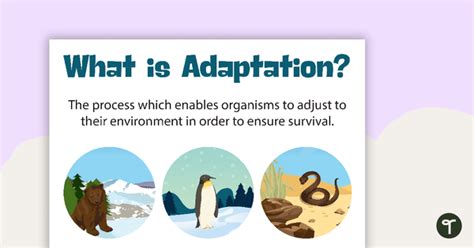 Behavioural Structural And Physiological Adaptations Teach Starter