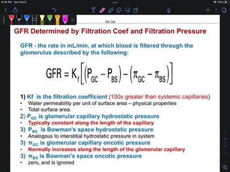 Into To Renal Phys Flashcards Quizlet