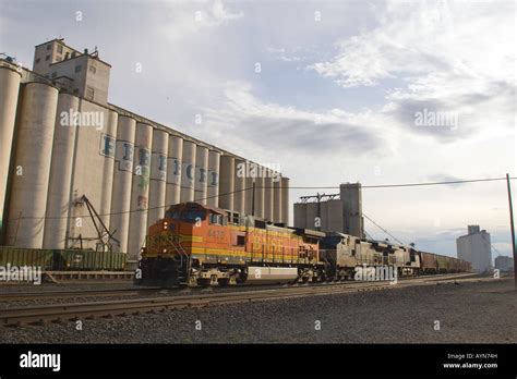 A Bnsf Grain Train Rolls By A Giant Grain Elevator In The Texas