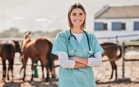 Quanto Custa O Curso De Medicina Veterinária - 6