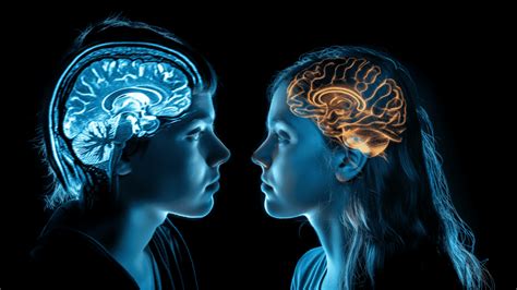 Stanford AI Model Determines Sex Of A Person From Brain Scans With 90 Accuracy DigiAlps LTD