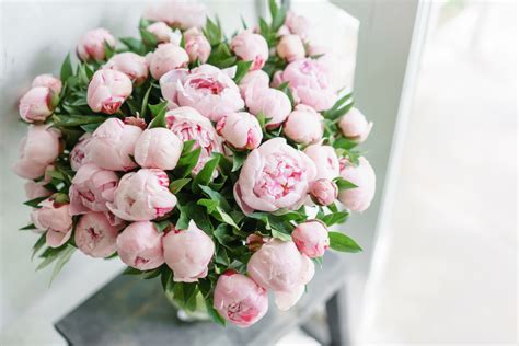 The Perfect Peony Wedding Bouquet | Sals Forever Flowers