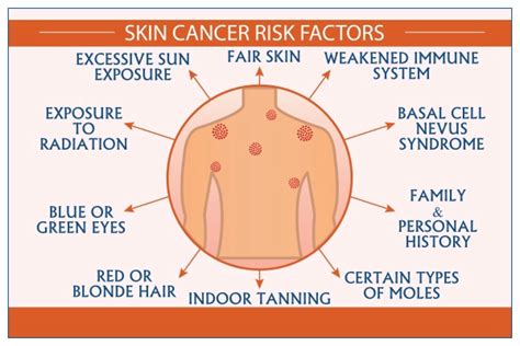 Cancer de la peau types diagnostic prévention facteurs de risque