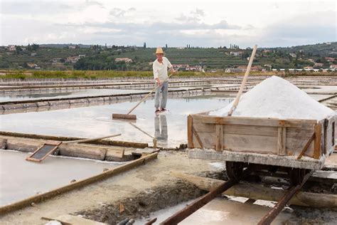 Piran Salt: The White Gold of Adriatic Sea - 3 Seas Europe