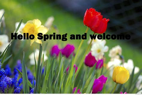 Welcome Spring Welcome Spring Png Images Ejqh