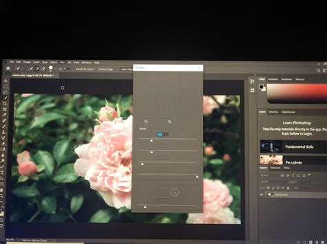 Having issue with oil paint Filter - Adobe Support Community - 11231778