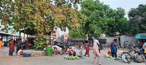 Building inclusive and climate-resilient cities through public open spaces