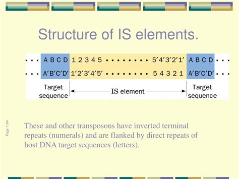 structure   elements powerpoint