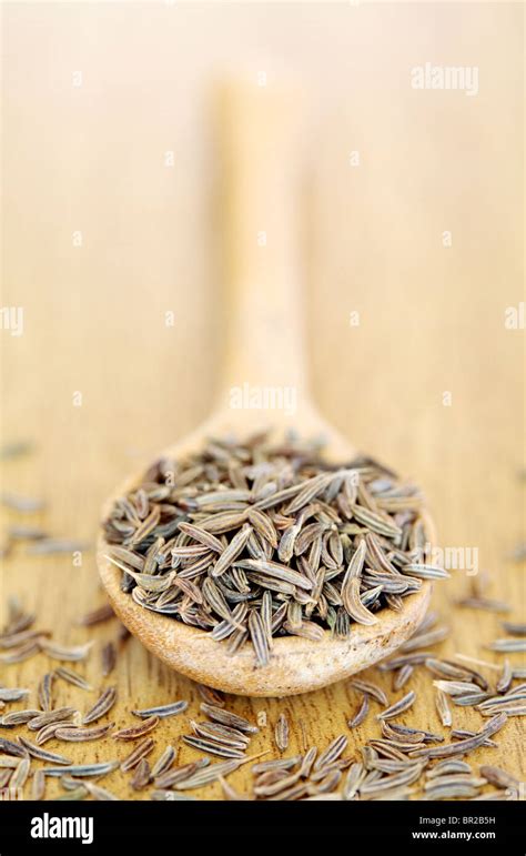 Caraway seeds hi-res stock photography and images - Alamy