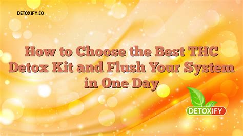 How to Choose the Best THC Detox Kit and Flush Your System in One Day ...