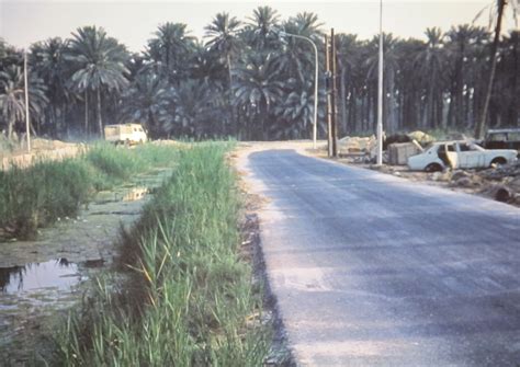 qatif oasis site