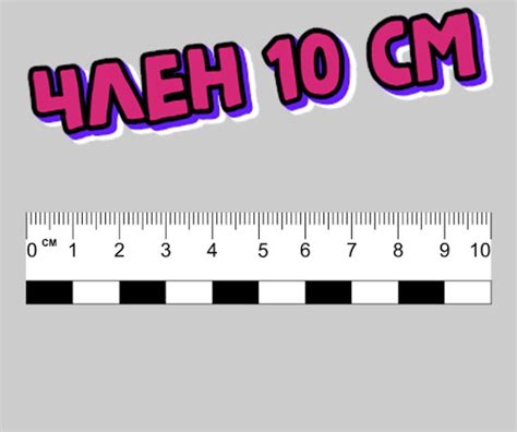 Член 10 Сантиметров Фото — Фото