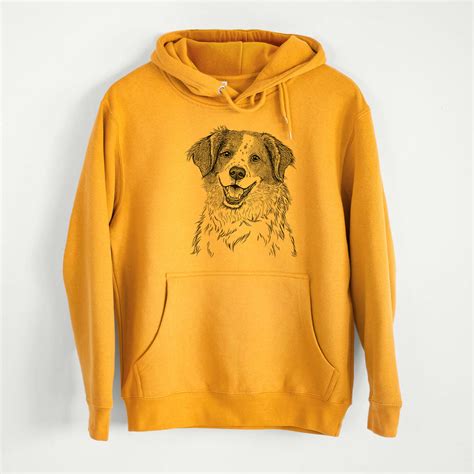 Brittany Beagle Mix