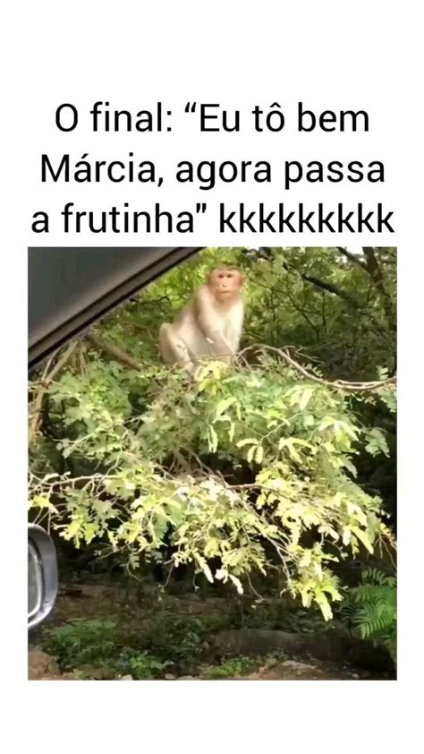 Tadinho Kkkk Trocadilhos Engra Ados Memes Engra Ados Piadas