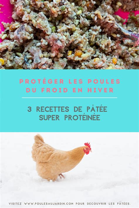 Recettes De P T E Super Prot In E D Hiver Pour Les Poules Poules Au