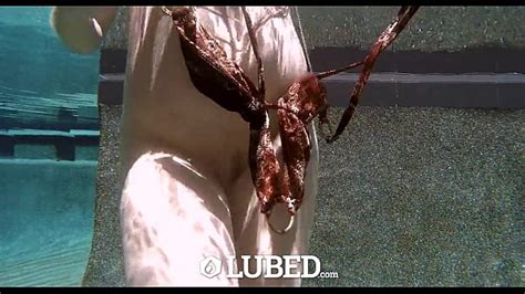 Fucked Up Porn ポルノ動画 エロ動画