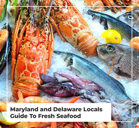 locals guide  fresh seafood